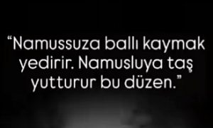 düzen