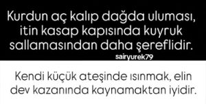 aç kurt