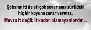 it kadar olamamak